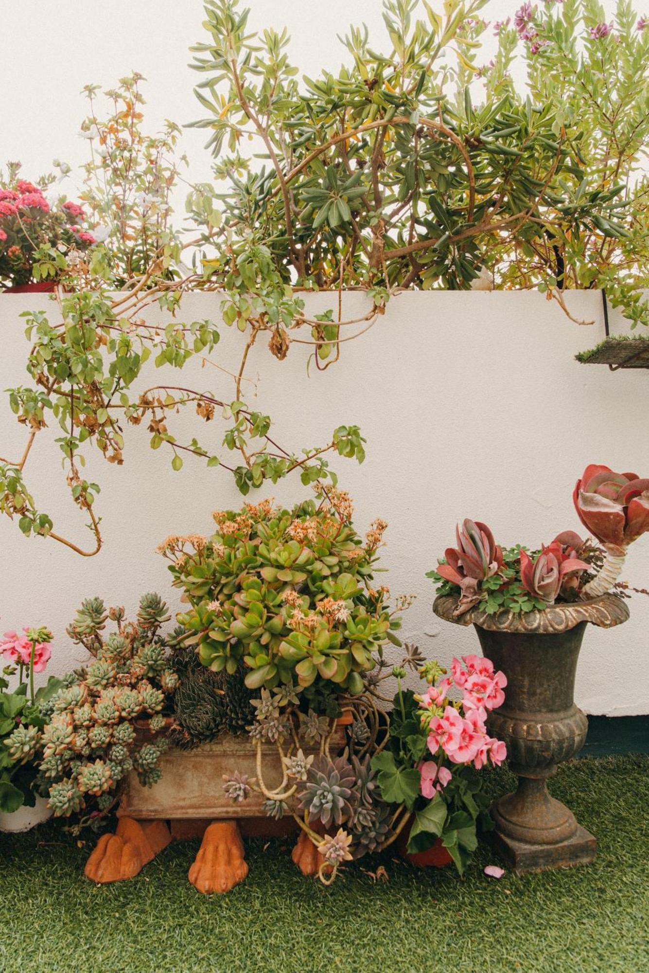 La Petite Maison Marseille Kültér fotó